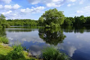 Images Dated 30th May 2024: View over a forest lake print, Lower Rhine region