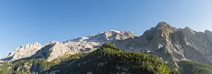 Travel Photography Alps Prints: View of the forest and mountains