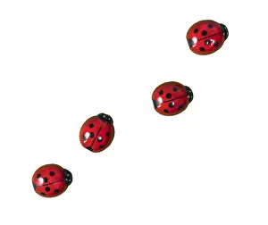 Ladybug Prints: Ladybugs on Transparent Surface Print