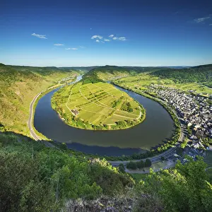 Central Europe Countryside Prints: View of the Moselle loop, Bremm