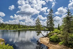 Images Dated 22nd May 2024: A View of the Oderteich in the Harz Mountains Print
