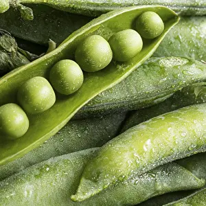 Prints of Top view peas pod Cod Prints: Top View Peas Pod Print