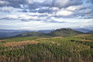 Saxon Switzerland Scenery Prints: View from the Pfaffenstein. Forests