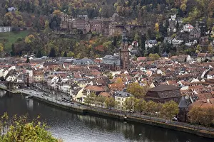 Stone Bridge Germany Prints: View from Philsophenweg to Neckar