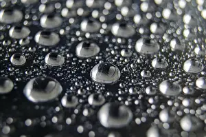 Images Dated 5th October 2024: Raindrop Patterns Print