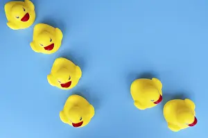 Customizable Space For Text Prints: Top view of rubber ducks with customizable space for text