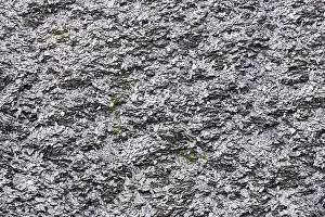 Central Europe Deserted Landscape Prints: View of a slate dump, Eastern Eifel