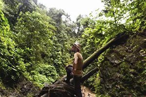 Dense Jungle Vegetation Prints: Side view of a spanish man exploring the dense
