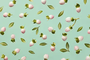 Wild Flower Blossom Prints: Top view spring flower buds