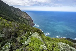 Madeira Landscape Prints: View of steep cliffs overgrown with forest