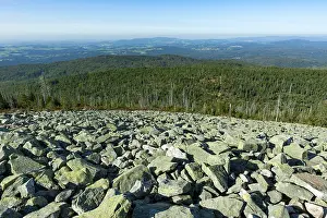 Central Europe Nature Reserve Prints: View from the summit of the Lusen