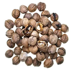 White Studio Background For Text Prints: Top view many walnuts isolated on white background
