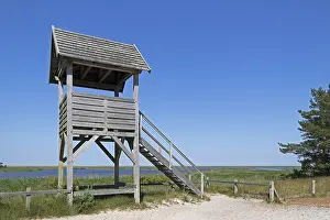 Deserted Viewing Platform Prints: Viewing platform, duck platform
