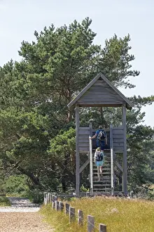 Northern Germany Nature Park Prints: Viewing platform, duck platform