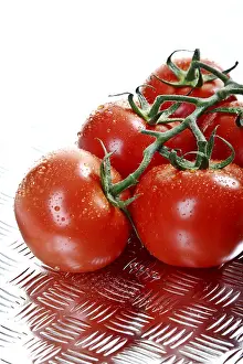 Vine Tomatoes Prints: Vine tomatoes