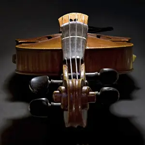 Musical Instrument Photography Prints: Violin