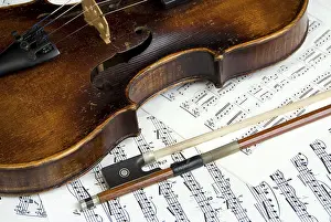 String Instrument Prints: Violin