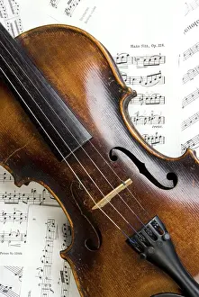 String Instrument Prints: Violin