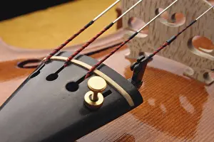Stringed Instrument Craftsmanship Prints: Violin tailpiece with fine tuner on the E string