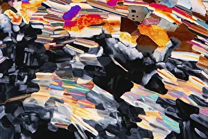 Colorful Crystal Patterns Prints: A vivid display of liquid crystals viewed under a microscope