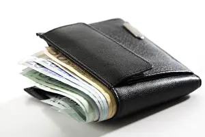 Save Money Finance Tips Prints: Wallet with notes