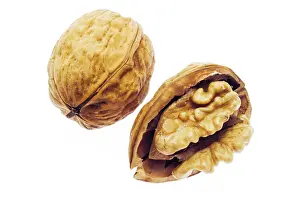 Indoor Grocery Essentials Prints: Walnut
