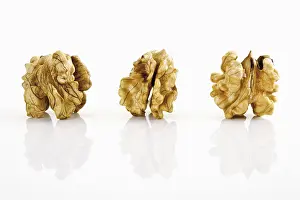 Close Up Walnuts Prints: Three walnut nuts