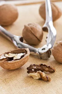 Walnut Nutrition Prints: Walnuts