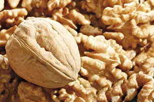 Studio Shot Backgrounds Prints: Walnuts, full format