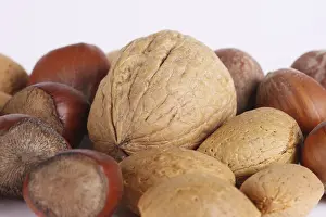 Studio Still Life Food Prints: Walnuts, hazelnuts and almonds