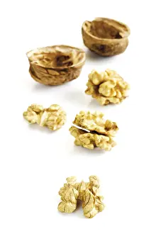 Studio Shot Of Walnuts Prints: Walnuts and shells