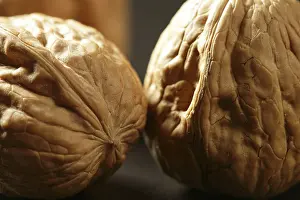 Deserted Walnut Scene Prints: Three walnuts with shells over black background and shadows