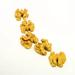 Deserted Walnut Scene Prints: Walnuts on white background