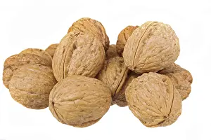 Walnut Close Up Prints: Walnuts on white background