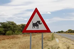 Prints of Warning sign Caution warthogs, Namibia Warthog Prints: Warning Sign: Caution Warthogs Print, Namibia