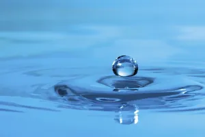 Water Drop Detail Prints: Water drop