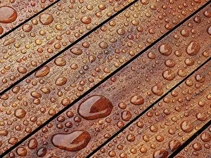 Water Drop Prints: Water drop