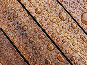 Rainy Day Scene Prints: Water drop
