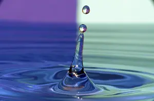 Water Drop Detail Prints: Water drop
