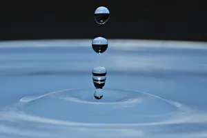 Detailed Macro Photography Prints: Water drops
