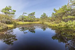 Sweden Lake Scenery Prints: There are many water points on the Vetteberg