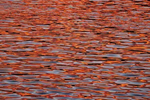 Evening Sky Reflections Prints: Water with reflections from the sunset