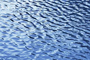 Deserted Lake Landscape Prints: Water ripples texture