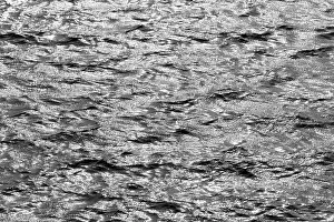 Light Reflection On Water Surface Prints: Water surface with waves and light reflections