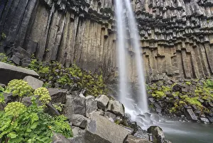 Deserted Icelandic Waterfall Prints: Waterfall, basalt columns, summer