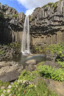 Basalt Columns Prints: Waterfall, basalt columns, summer