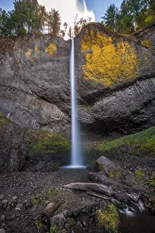 Latourell Falls Oregon Prints: Waterfall in front of basalt rock