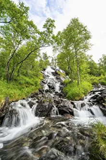 Norwegian Nature Scenery Prints: Waterfall in forest between birch trees