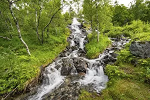 Long Exposure Waterfall Photography Prints: Waterfall in forest between birch trees