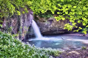 Wild Garlic Bloom Prints: Waterfall in the forest with a small pond